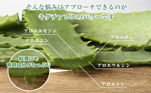 23-700．濃厚な100％エキス・四万十産有機キダチアロエ使用「四万十アロエナチュラルエキス100％ 500ml（1本）」