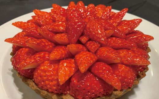 æ°ééå® æééå® ã€ã㎠ãã£ã·ãïŒã€ããŽã® ã¬ã¢ããŒãº ã¿ã«ã åœç£ å·å ãã«ãŒã æç© ãã¡ã èº ã¹ããããªãŒ ã¬ã¢ããŒãºã±ãŒã ããŒãºã±ãŒã ã±ãŒã çŒèå æŽèå èå ãã¶ãŒã ã¹ã€ãŒã é«ç¥ ååœ åäžå ããŸããš éå®ã2026幎1æäžæ¬ïœ4æäžæ¬é
éã25-504