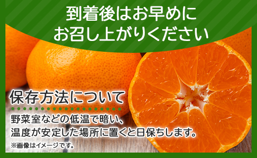 一度食べたらくせになる！高知県産 山北みかん 約3kg(露地栽培 2S～Lサイズ）- 送料無料 果物 フルーツ 温州みかん ミカン 蜜柑 柑橘 甘い おいしい お取り寄せ ku-0019