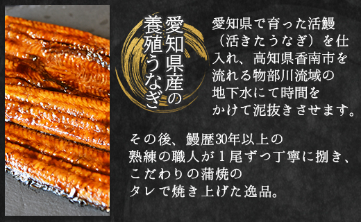 【３回定期便】国産養殖うなぎ蒲焼き 約200g×2尾(愛知県産鰻)うなぎ 魚介 国産 海鮮 魚 かばやき 鰻 ウナギ 惣菜 おかず お手軽 加工品 加工食品 冷凍 Wfb-0074