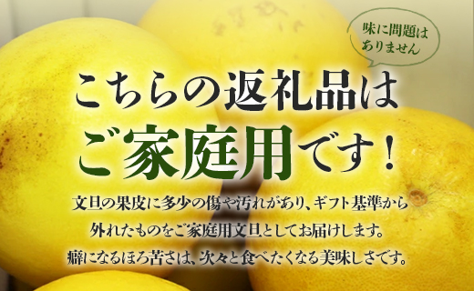 【先行予約】訳あり 土佐文旦 約10kg (家庭用 2L～4Lサイズ) - 期間限定 送料無料 果物 フルーツ 柑橘 高知県産 ぶんたん ブンタン ざぼん ザボン 季節限定 デザート 傷 お取り寄せ 産地直送 特産品 間城農園 高知県 香南市 常温 ms-0053