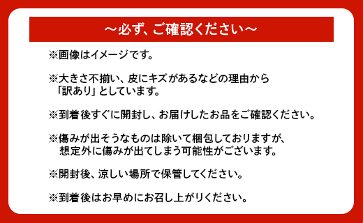 【先行予約受付】訳あり 土佐文旦 家庭用 約10kg ku-0023