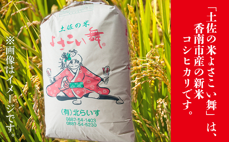 【令和7年産 新米】新米 10kg おいしいコシヒカリ！ 土佐の米よさこい舞 - こしひかり お米 おこめ コメ 美味しい おいしい 新米 白米 ご飯 ごはん ライス のし 備蓄 農家直送 高知県 香南市 kr-0060