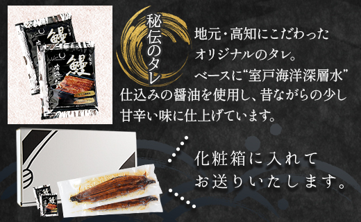 うなぎ蒲焼き 約200g×2尾(高知県産鰻) フジ物産 国産養殖 fb-0139