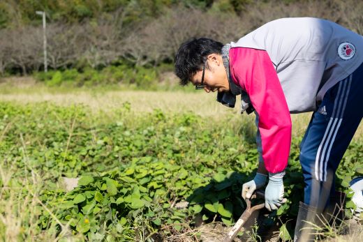 さつまいも シルクスイート 5kg - サツマイモ さつま芋 野菜 焼き芋 やきいも 焼いも おやつ スイーツ スイートポテト 天ぷら 国産 高知県 香南市 gr-0134