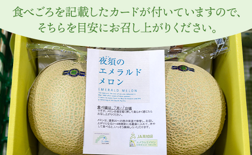 【ブランドメロン】エメラルドメロン 2玉（1.5kg～1.8kg×2個）- テレビ朝日「ザワつく!金曜日」で特集 紹介 送料無料 果物 くだもの フルーツ めろん 青肉 贈答用 贈り物 のし ご褒美 お礼 御礼 お祝い 御祝 ギフト 高級メロン 産地直送 高知県 香南市 yu-0011