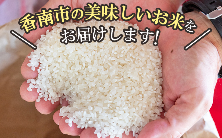 【12ヵ月定期便】 よさこい舞（毎月) 10kg 合計120kg - 令和6年 2024年 送料無料 こしひかり お米 おこめ コメ 美味しい おいしい 白米 ご飯 ごはん ライス のし 高知県 香南市 Wkr-0051