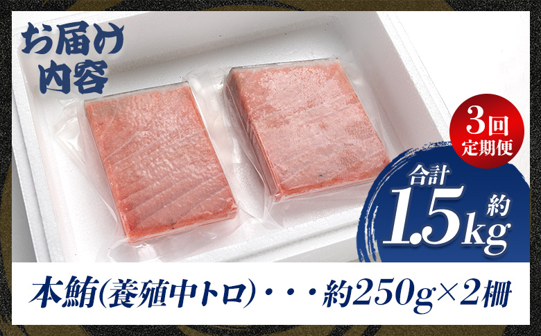 中トロ 定期便 3回 約250g 2冊 養殖 本マグロ 合計1.5kg - 鮪 まぐろ 中とろ 寿司 刺身 さしみ 海鮮丼 漬け丼 カルパッチョ おつまみ 新鮮 海産物 魚介 海の幸 オオジ 高知県 香南市 冷凍 Woo-0008