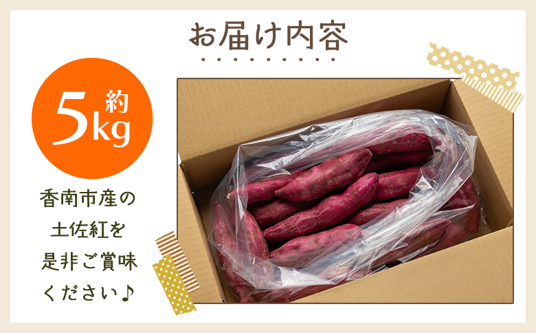 【2025年出荷分】さつまいも（土佐紅）5kg - サツマイモ さつま芋 野菜 焼き芋 やきいも 焼いも おやつ スイーツ スイートポテト バター焼き アレンジ 料理 国産 高知県 香南市 yr-0045