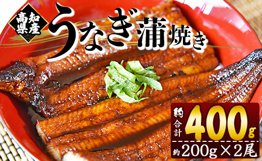 フジ物産 国産養殖うなぎ蒲焼き 約200g×2尾(高知県産鰻) fb-0011