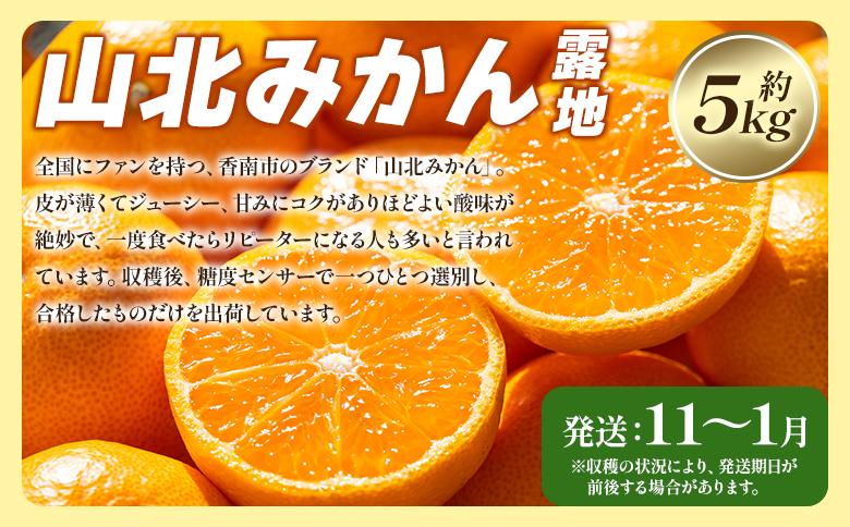 【定期便】一度食べたらくせになる！ みかん 食べ比べ 年4回コース - 4回配送 旬 果物 くだもの フルーツ かんきつ 蜜柑 みかん ミカン せとか なつみ 露地みかん 温室みかん 山北みかん 高知県 香南市 常温 Wku-0044