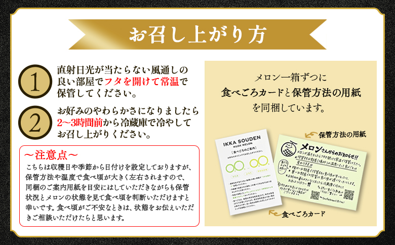 【5月下旬より発送】 一果相伝 マスクメロン 家庭用 2玉入り 果物 くだもの フルーツ tn-0011