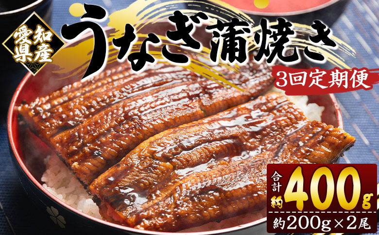 【３回定期便】国産養殖うなぎ蒲焼き 約200g×2尾(愛知県産鰻)うなぎ 魚介 国産 海鮮 魚 かばやき 鰻 ウナギ 惣菜 おかず お手軽 加工品 加工食品 冷凍 Wfb-0074