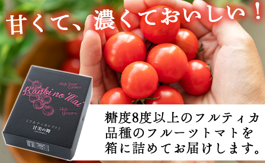 高糖度＆高機能性 フルーツトマト 1kg 3カ月定期便 合計3kg - 甘美の舞 期間限定 季節限定 野菜 やさい フルティカ 完熟 ミニトマト プチ 新鮮 お弁当 贈り物 サラダ 産地直送 高知県 香南市 Wkr-0032