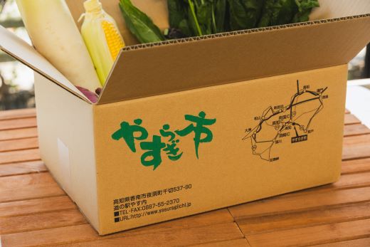 【２回定期便】やすらぎ市 産地直送やさいＢＯＸ（5種類前後） - 野菜 ベジタブル おまかせ 詰め合わせ セット 季節 旬 お任せ お楽しみ ヘルシー 国産 特産品 送料無料 やすらぎ市 高知県 香南市 Wyr-0028