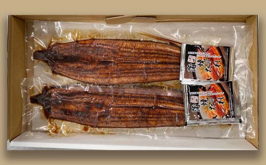 【計400ｇ】国産養殖うなぎ蒲焼き 約200g×2尾(愛知県産鰻) 鰻 ウナギ かばやき 1万円以上 10000円以上 fb-0138