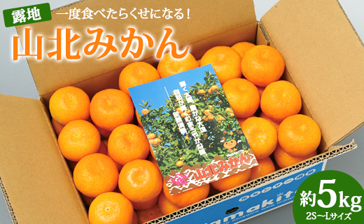 一度食べたらくせになる！高知県産 山北みかん 約5kg(露地栽培 2S～Lサイズ) ku-0024