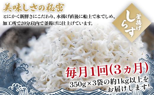 定期便 3カ月 極上釜揚げしらす「銀凪」350g×3袋(約1kg) 合計3kg以上 - 小魚 さかな シラス かまあげ 魚介 シーフード 特産品 海産物 新鮮 ご飯のお供 おつまみ 国産 海の幸 小分けパック ヤマナカ水産 高知県 香南市 冷凍 Wym-0011