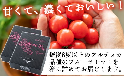 【先行予約】【数量限定】高糖度＆高機能性 フルーツトマト 約2kg - 甘美の舞 期間限定 季節限定 野菜 やさい フルティカ トマト 完熟 糖度8以上 ミニトマト プチ お弁当 サラダ 送料無料 産地直送 1キロ×2箱 生野菜 贈答 デザート フレッシュ ドライトマト おつまみ 離乳食 リコピン アレンジ 料理 おすそ分け お祝い 内祝い お礼 とまと 旬 甘い あまい 美味しい おいしい 高知県 香南市 kr-0030