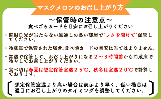 【期間限定】一果相伝 マスクメロン 家庭用 2玉入り tn-0011