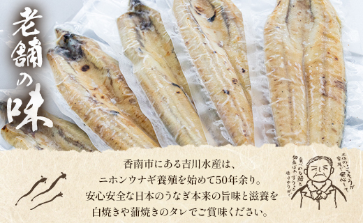 蒲焼きタレ付き うなぎ 白焼き 1kg以上 10尾×100～120g スピード yw-0082