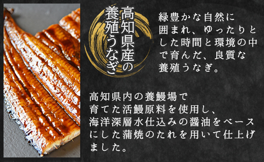 フジ物産 国産養殖うなぎ蒲焼き 約200g×2尾(高知県産鰻) fb-0011