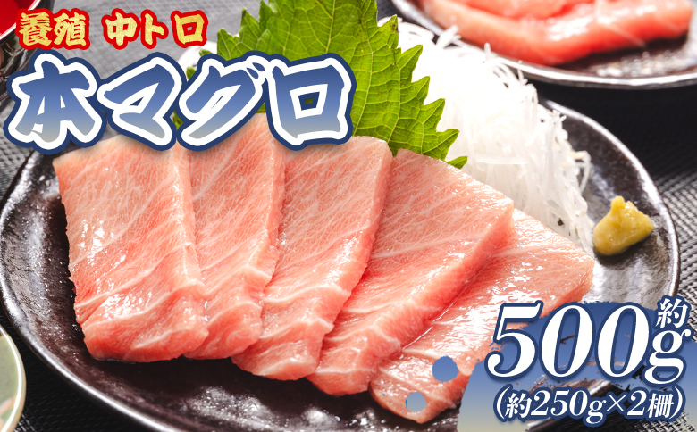 本まぐろ 養殖 中トロ 約500g 2冊 鮪 魚介 国産 海鮮 魚 かばやき 鰻 ウナギ 惣菜 おかず お手軽 加工品 加工食品 冷凍 oo-0002