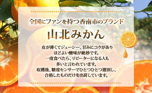 【ブランドみかん】山北みかん 約3kg(露地栽培 2S～Lサイズ） 一度食べたらくせになる！高知県産 ku-0019