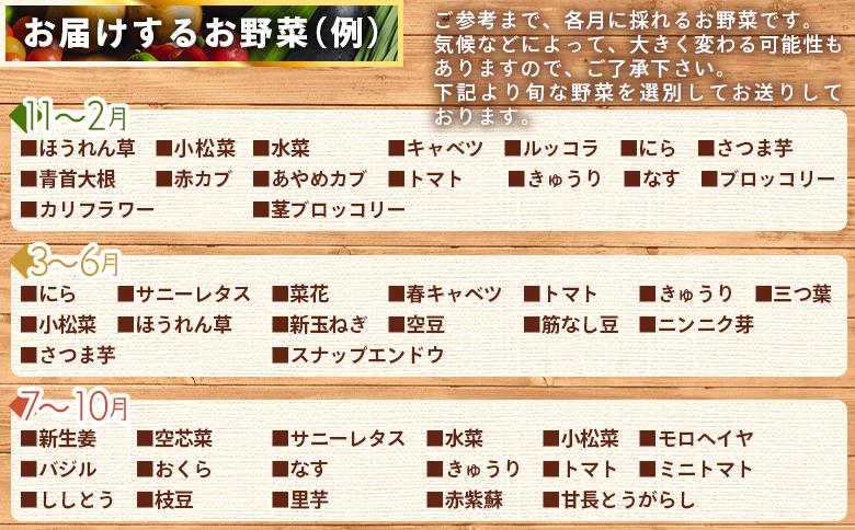 ãã ããã®æ°é®®éè ïŒå宿 - 9ïœ11åçšåºŠ ãä»»ã éè ããã éæ ææ¡ã æ°é®® æ¬ã®éè å£ç¯ã®éè è©°ãåãã ã»ãã ã¢ã«ã«ããã¡ãŒã é«ç¥ç éŠååž å·èµ Waf-0005