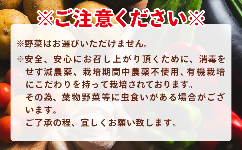 ãã ããã®æ°é®®éè ïŒå宿 - 9ïœ11åçšåºŠ ãä»»ã éè ããã éæ ææ¡ã æ°é®® æ¬ã®éè å£ç¯ã®éè è©°ãåãã ã»ãã ã¢ã«ã«ããã¡ãŒã é«ç¥ç éŠååž å·èµ Waf-0005