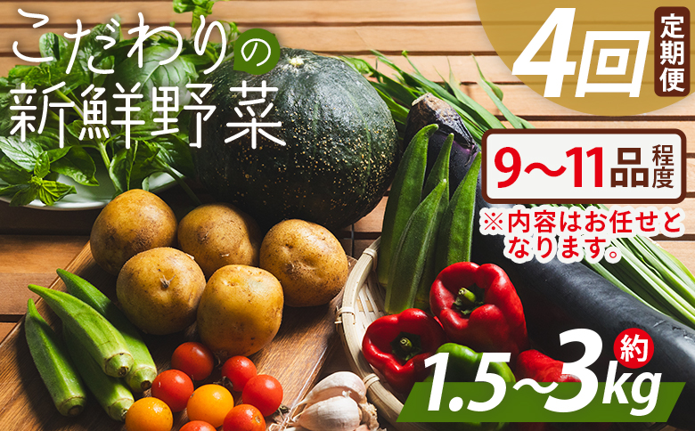こだわりの新鮮野菜 4回定期 - 9～11品程度 お任せ 野菜 やさい 青果 朝採れ 新鮮 旬の野菜 季節の野菜 詰め合わせ セット アルカナファーム 高知県 香南市 冷蔵 Waf-0004