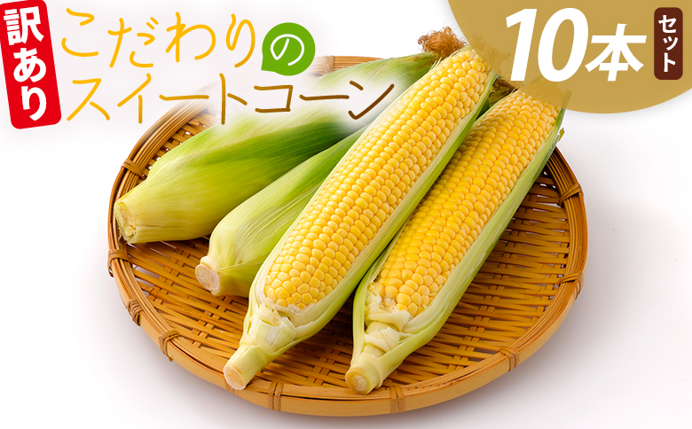 こだわりのスイートコーン 訳あり 10本セット - 国産 朝採れ 新鮮 トウモロコシ とうもろこし コーン 野菜 青果 訳アリ ご家庭用 家庭用 アルカナファーム 高知県 香南市 冷蔵 af-0007