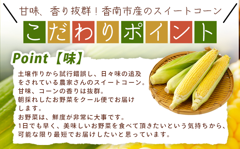 こだわりのスイートコーン 訳あり 10本セット - 国産 朝採れ 新鮮 トウモロコシ とうもろこし コーン 野菜 青果 訳アリ ご家庭用 家庭用 アルカナファーム 高知県 香南市 冷蔵 af-0007