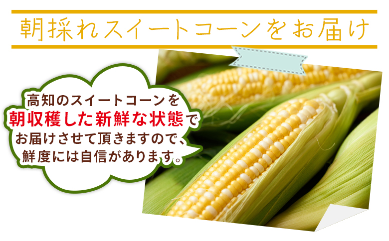 こだわりのスイートコーン 訳あり 10本セット - 国産 朝採れ 新鮮 トウモロコシ とうもろこし コーン 野菜 青果 訳アリ ご家庭用 家庭用 アルカナファーム 高知県 香南市 冷蔵 af-0007