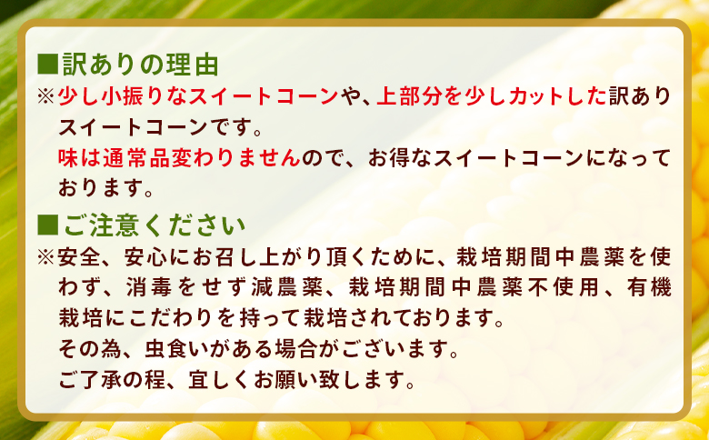 こだわりのスイートコーン 訳あり 10本セット - 国産 朝採れ 新鮮 トウモロコシ とうもろこし コーン 野菜 青果 訳アリ ご家庭用 家庭用 アルカナファーム 高知県 香南市 冷蔵 af-0007