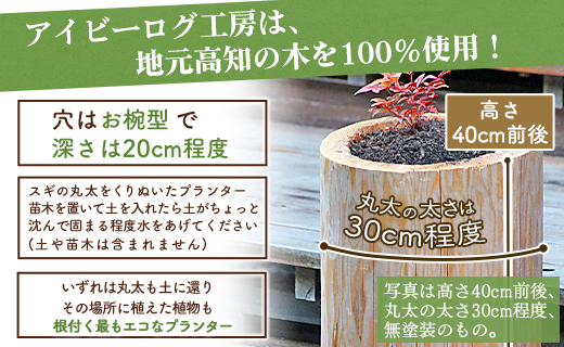 アイビーログ工房 土に還るプランター(丸太でできたプランター) ar-0010
