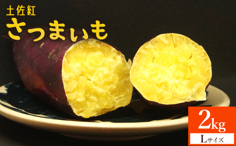 【2026年発送分】さつまいも(土佐紅) Lサイズ 2kg- サツマイモ さつま芋 野菜 焼き芋 やきいも 焼いも 蒸し芋 おやつ スイーツ スイートポテト 国産 アスタ農園 高知県 香南市【常温】 at-0052