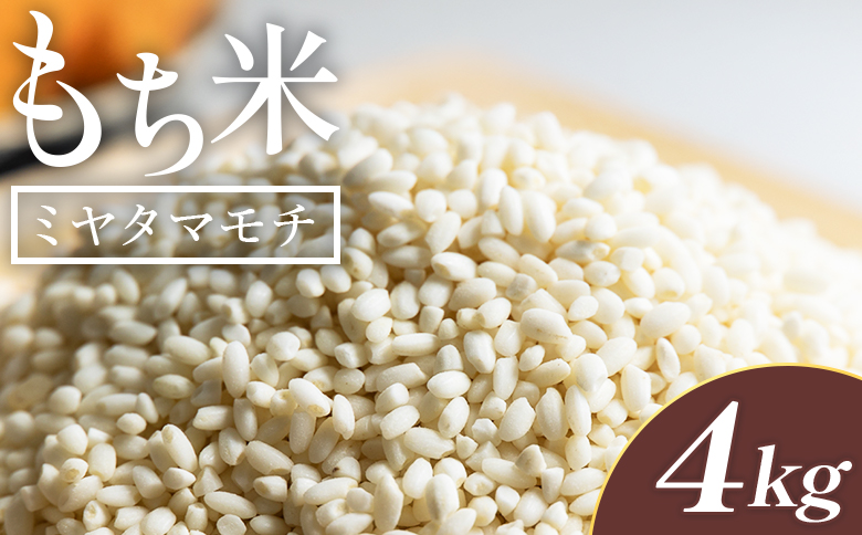 もち米 4kg - ミヤタマモチ 国産 餅米 モチ おもち おこわ おはぎ ぼたもち お雑煮 赤飯 米 お米 アレンジ 調理 アスタ農園 高知県 香南市 常温 at-0070