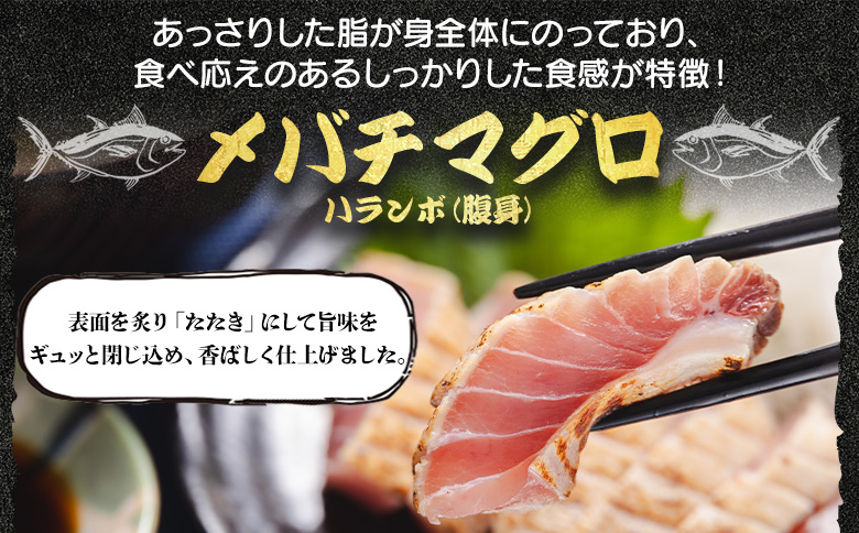 天然マグロ メバチマグロ ハランボ(腹身) たたき 1節 たたきのタレ付き - 鮪 まぐろ 赤身 寿司 刺身 丼 おつまみ 海の幸 高知県 香南市 oo-0004