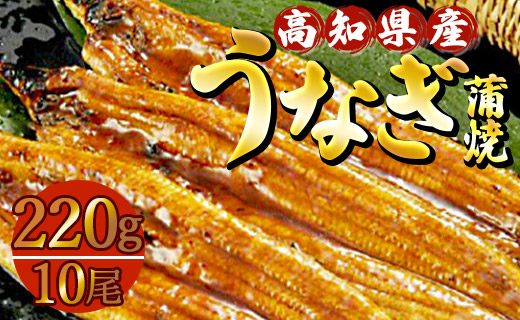 高知県産養殖うなぎ蒲焼 10尾(合計約2200g) - 土用の丑の日 鰻 ウナギ 蒲焼き かば焼き かばやき うな丼 うな重 送料無料 ギフト お中元 御中元 父の日 お礼 御礼 感謝 贈答 贈り物 須崎市道の駅 高知県 香南市 ss-0037