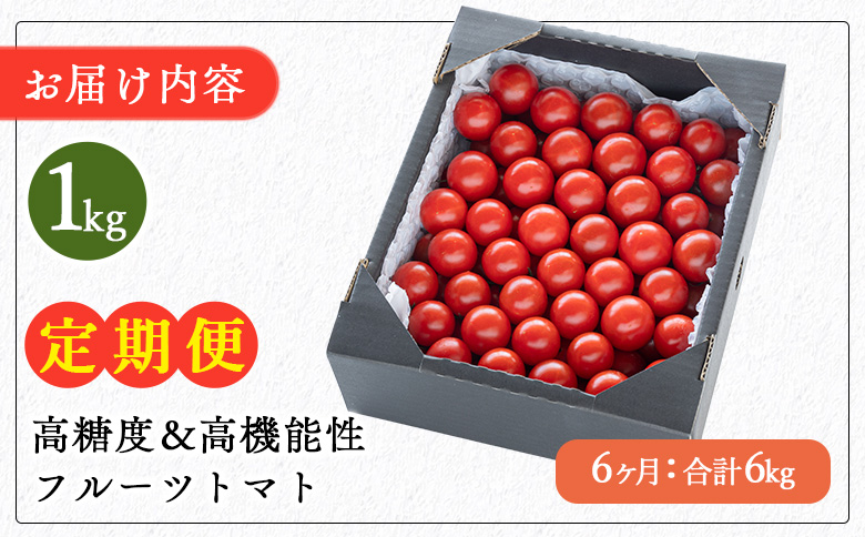 高糖度＆高機能性 フルーツトマト 1kg 6カ月定期便 合計6kg -甘美の舞 期間限定 季節限定 野菜 やさい フルティカ 完熟 ミニトマト プチ 新鮮 お弁当 贈り物 サラダ 産地直送 高知県 香南市 Wkr-0033