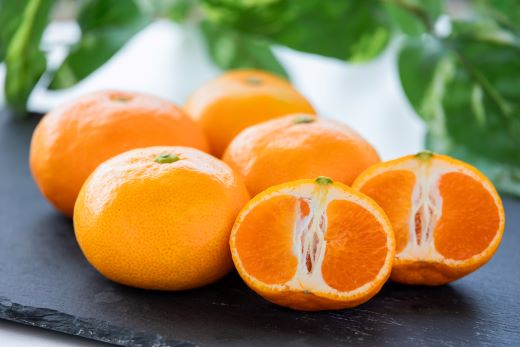 【３回定期便】山北温室みかん1.2kg - 秀品 果物 くだもの フルーツ 柑橘 蜜柑 お歳暮 ギフト 産地直送 送料無料 小玉大玉 国産 品種 年内配送 御礼 お礼 高知県 香南市 Wku-0060