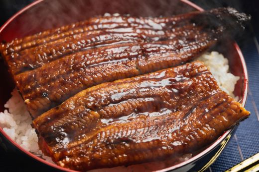 うなぎ蒲焼き 約200g×2尾(高知県産鰻) フジ物産 国産養殖fb-0011