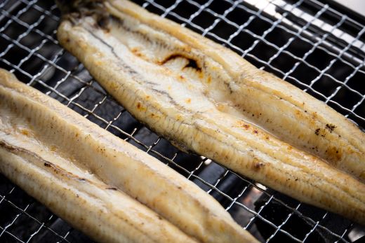 高知県産うなぎの白焼き 130～150ｇ×3尾 - エコ包装 国産 うなぎ 白焼き 鰻 冷凍 高知 yw-0052