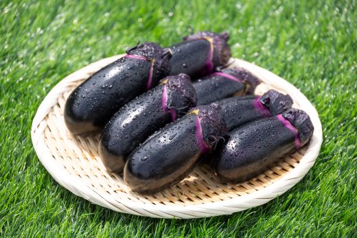 立仙農園 うちのナス 合計1.5kg - なす 茄子 なすび ナスビ 生鮮 野菜 やさい 朝採れ 新鮮 rs-0001