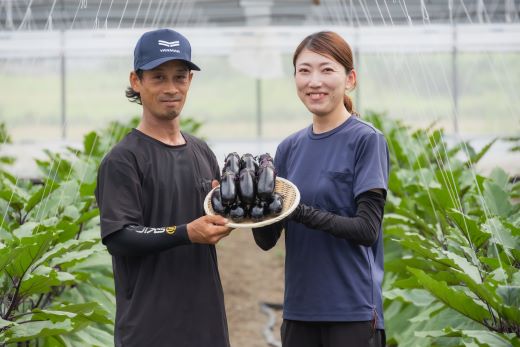 遶倶サ呵セイ蝨 縺縺。縺ョ繝翫せ 蜷郁ィ5kg - 縺ェ縺 闌蟄 縺ェ縺吶ウ 繝翫せ繝 逕滄ョョ 驥手除 繧縺輔> 譛晄治繧 譁ー魄ョ rs-0003