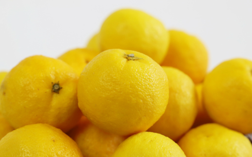 ã2026幎11æä»¥éé æ¬¡é
éãè匥倪é ã¯ãªãé»ç ïŒãã㯠- åœç£ ãã æå ãŠãº è±æå ææ© éŠé
žææ© æç© è±ç®ææ± ãã«ãŒã æå® æç é
ãã€ããŒã« çŒé
ã¢ã¬ã³ãž çŒãé å°åã ãããåã é«ç¥ç éŠååž å·èµ hy-0003