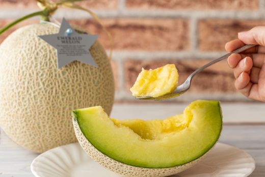 【３回定期便】夜須のエメラルドメロン 1玉 - テレビ朝日「ザワつく!金曜日」で特集 紹介 くだもの フルーツ ギフト マスクメロン 青肉 ギフト 贈答用 ご褒美 高級 お礼 御祝 産地直送 JA 高知県農業協同組合 香南市 常温 Wyu-0030