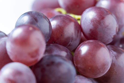 ã¶ã©ã è€çš 2P - åœç£ æç© ãã ãã® éæ ãã«ãŒã è¡è ãã㊠ã°ã¬ãŒã ãžã¥ãŒã·ãŒ ãã¶ãŒã ããããåž é«ç¥ç éŠååž å·èµ yr-0098