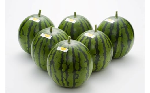 ãïŒåå®æäŸ¿ãã«ãã»ããšãã¹ã€ã«(倧ç) 1ç - ã¹ã€ã« é«ç¥çç£ ã«ãããšã ã®ãã èŽãç© ã®ã ãã«ãŒã倧奜ã è¥¿ç æç© å€ã®æç© é«ç¥ç éŠååž åžžæž© Wyu-0069